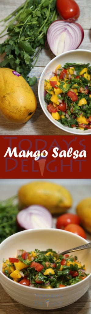 Easy Mango Salsa Recipe