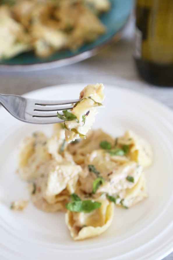 A plate of cheese tortellini in creamy basil sauce and cheese tortellini in a fork.