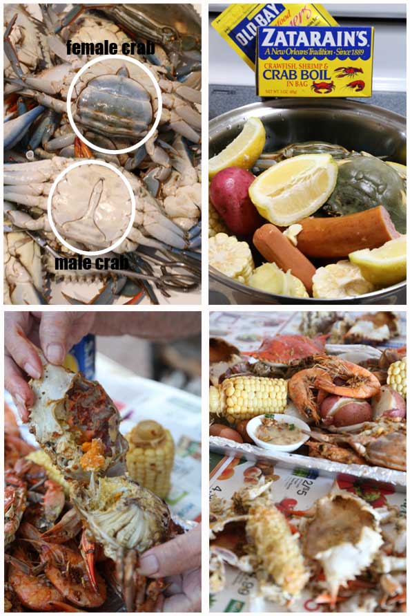blue crab boil recipe is Today's Delight