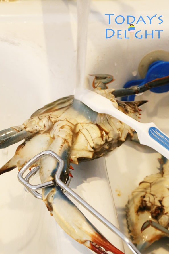 how to clean blue crab is Today's Delight topic