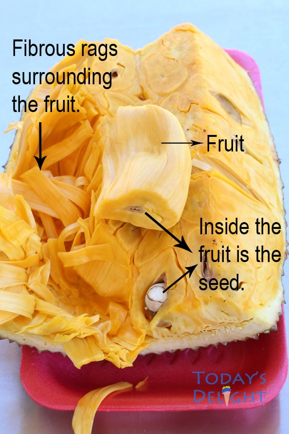 An image of half jackfruit showing the fibrous rag surrounding the fruits and the seeds inside the fruits.
