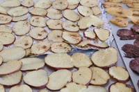 Unbaked slices of Pumpkin Spice Baked Sweet Potato.