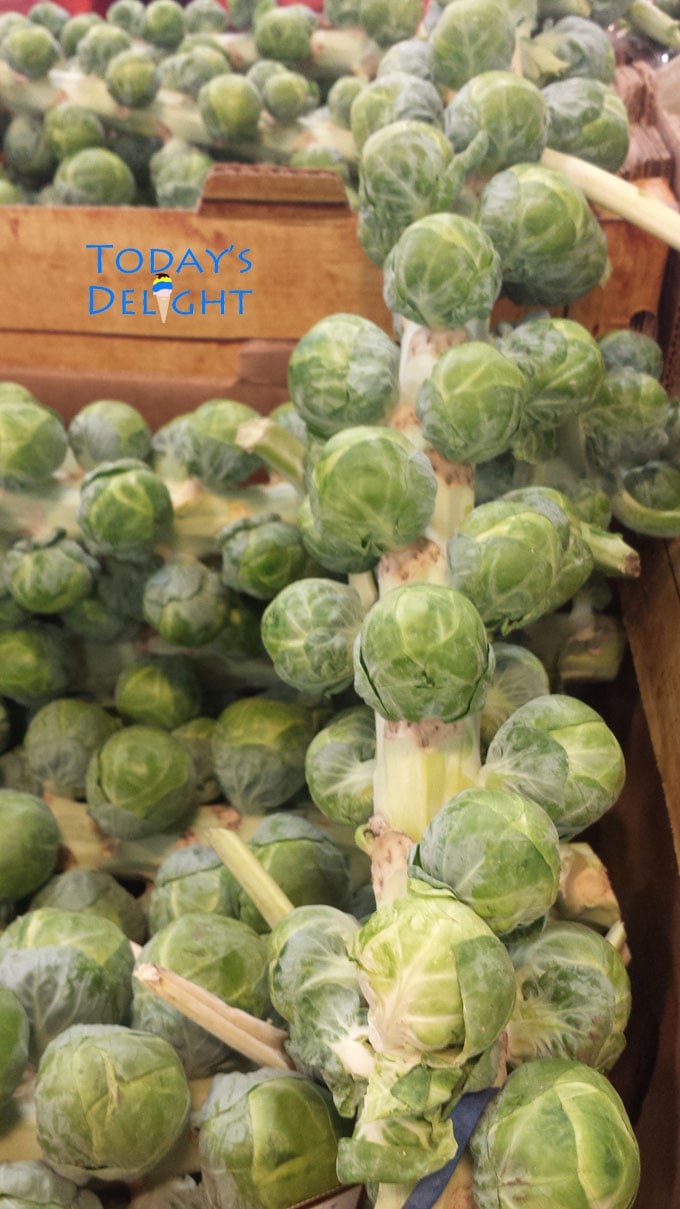 A bunch of Brussel sprouts attached to its stalks in a crate.