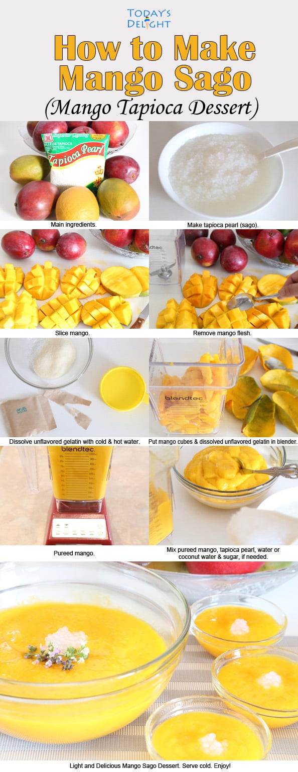 How to Make Mango Sago is Today's Delight