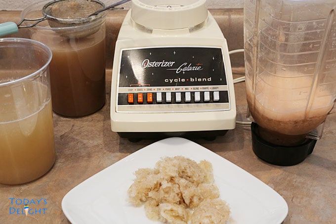 Making shrimp stock with shrimp head & peel in a blender