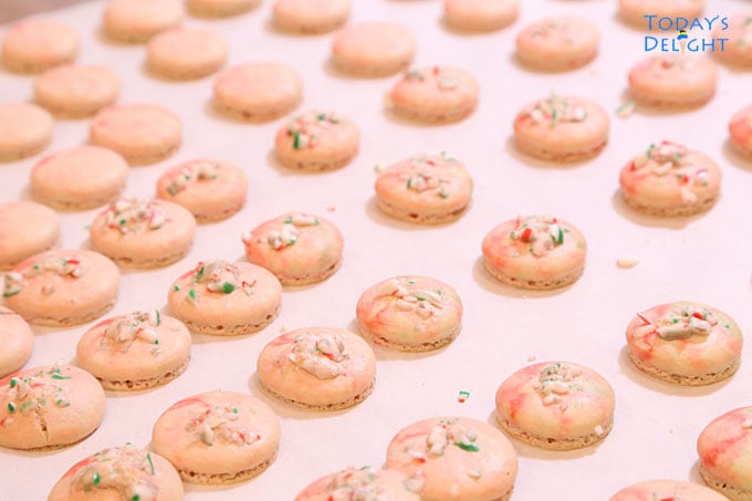 French macarons in baking sheet