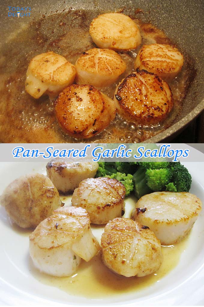 Pan-Seared Garlic Scallops is Today's Delight
