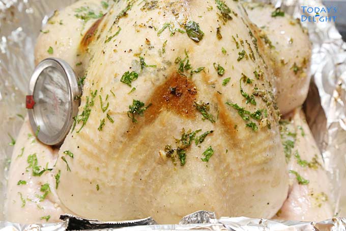 Turkey with a thermometer on its side. Also, it is showing browning in some areas during first bake in the oven.