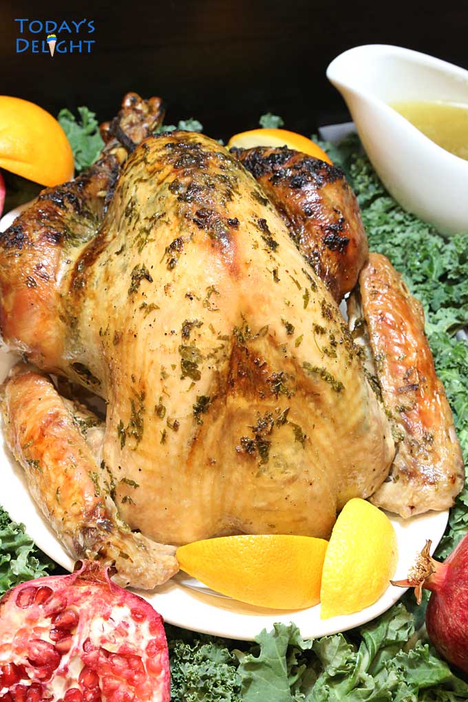 Front part of turkey surrounded with fruits, kale, lemon, and sauce one the side.