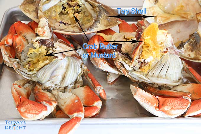 Opened dungeness crab.