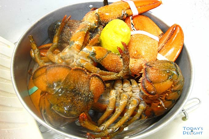 Seasoned lobster in steamer tray.