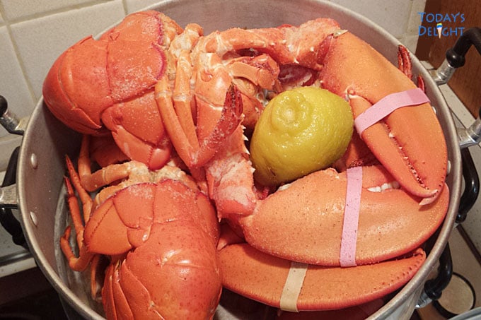 Cooked bright red lobster in steamer.