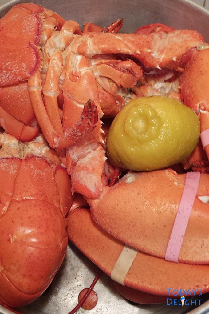 How to Steam Lobster is Today's Delight.