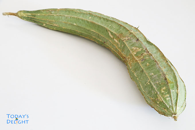 Ridged gourd vegetable substitute for sponge gourd.