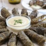 Greek Dolmades in plate with sauce is Today's Delight.