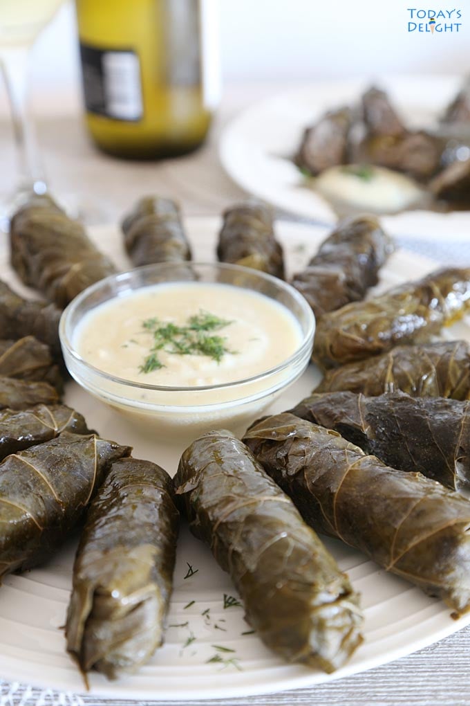 Greek Dolmades in plate with sauce is Today's Delight.