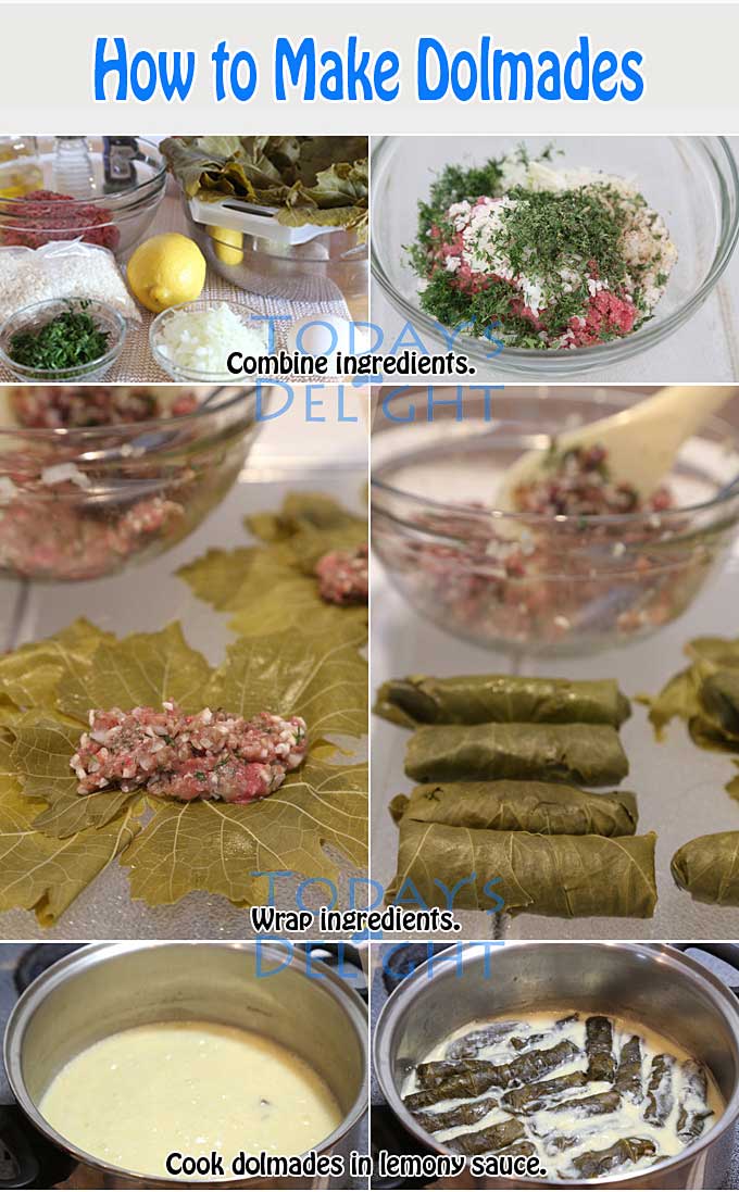 Step by step diagram making dolmades.