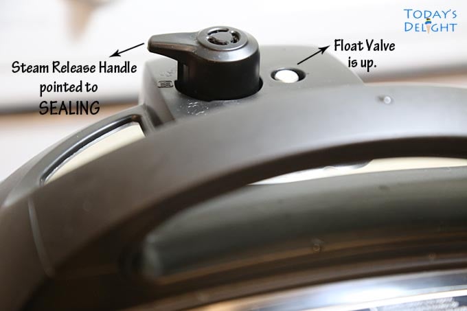 Instant Pot Pressure Cook.